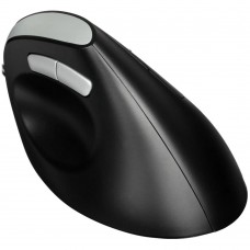 Мышь Rapoo EV200 Black проводная